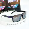 Holbrook-Violet-icon-PBP-lens-2